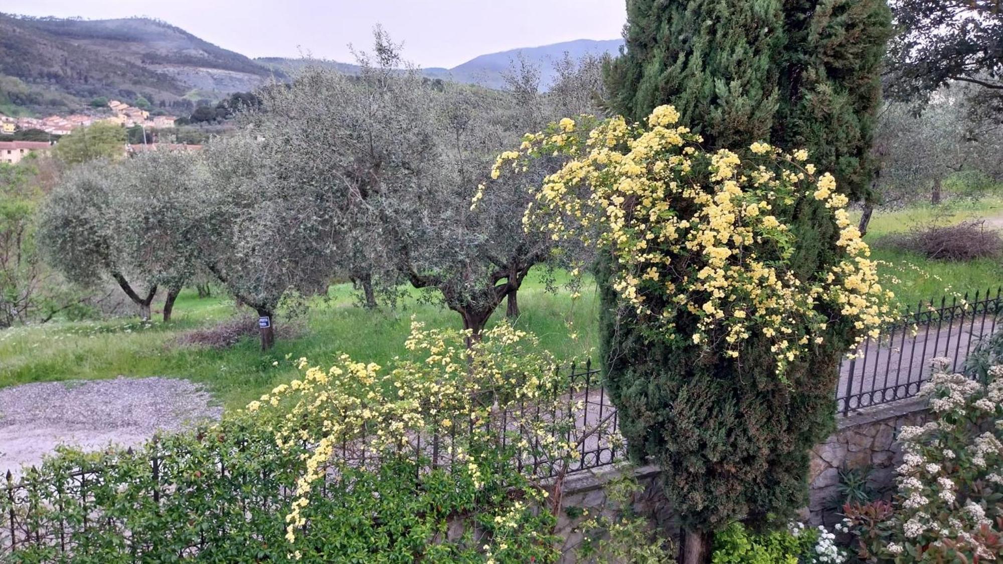 Villa Salviati Prato  Eksteriør billede